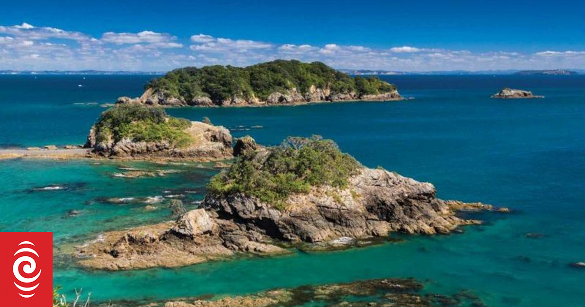 Invasive Seaweed's Deadly Toll: A Threat To Australia's Coastal Ecosystems Invasive Seaweed's Deadly Toll: A Threat To Australia's Coastal Ecosystems