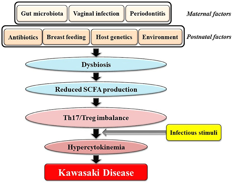 Investigating The Etiology Of Kawasaki Disease: The Role Of A Previously Unknown Respiratory Virus Investigating The Etiology Of Kawasaki Disease: The Role Of A Previously Unknown Respiratory Virus