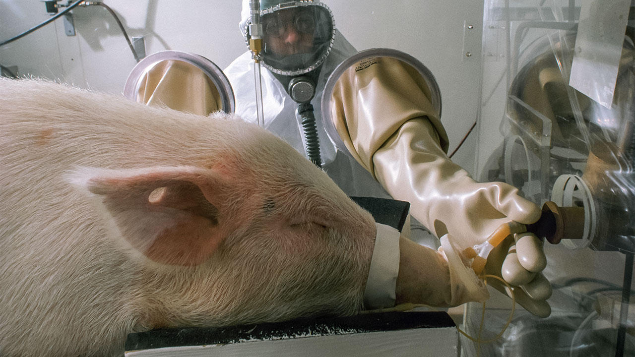 Investigating US Funding For Transgender-Related Animal Studies Investigating US Funding For Transgender-Related Animal Studies