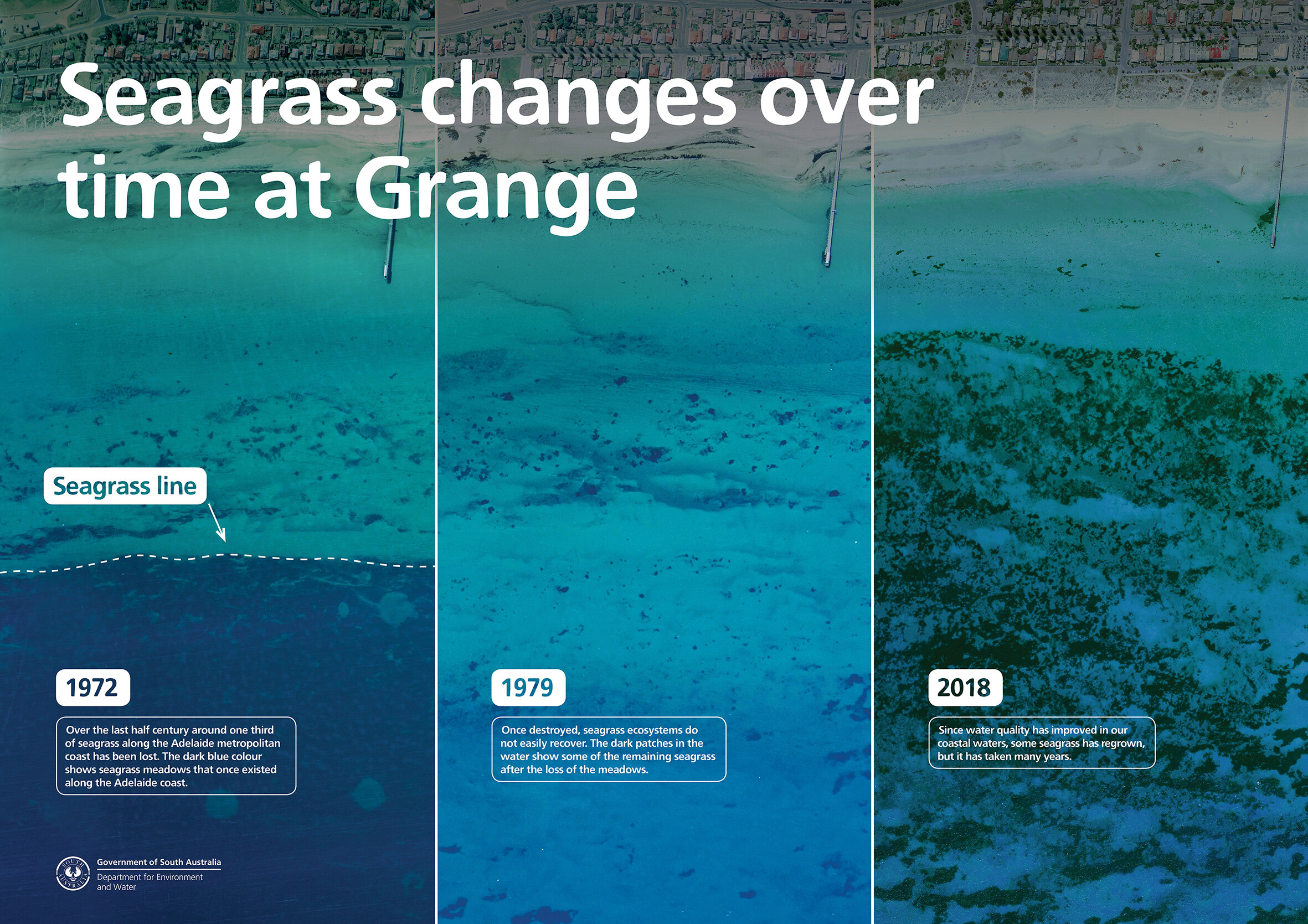Investing In Scotland's Future: Seagrass Planting And Coastal Restoration Investing In Scotland's Future: Seagrass Planting And Coastal Restoration