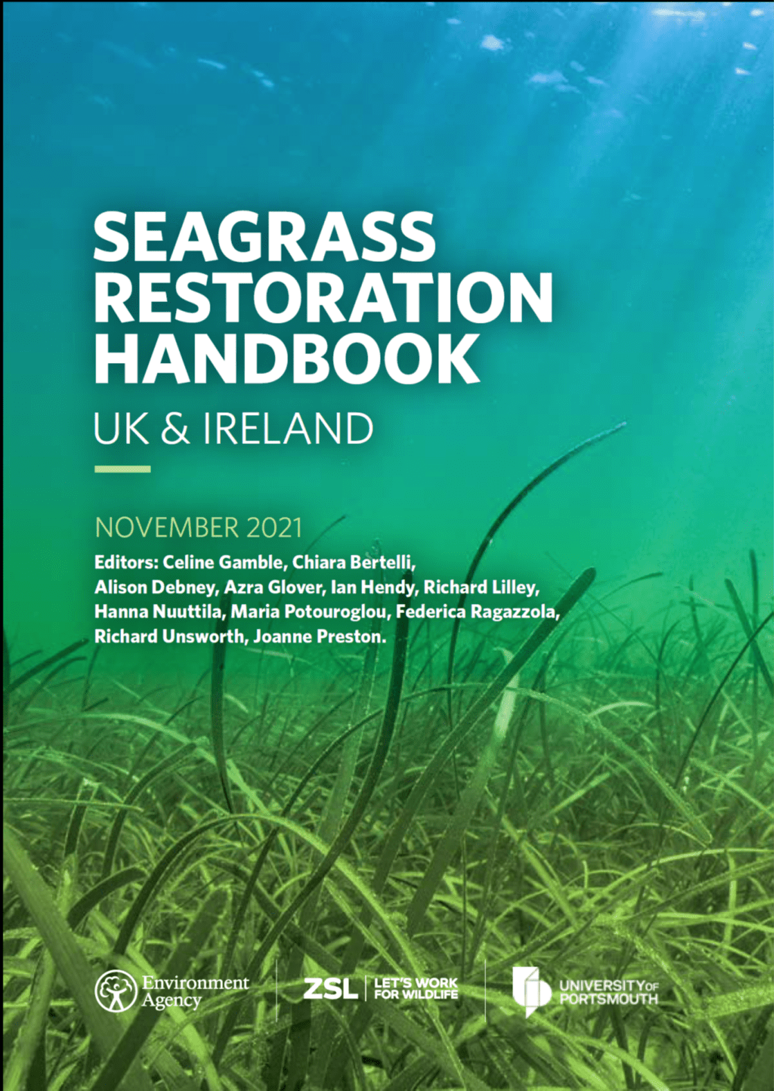 Investing In Scotland's Future: Seagrass Restoration Bids And Their Impact Investing In Scotland's Future: Seagrass Restoration Bids And Their Impact