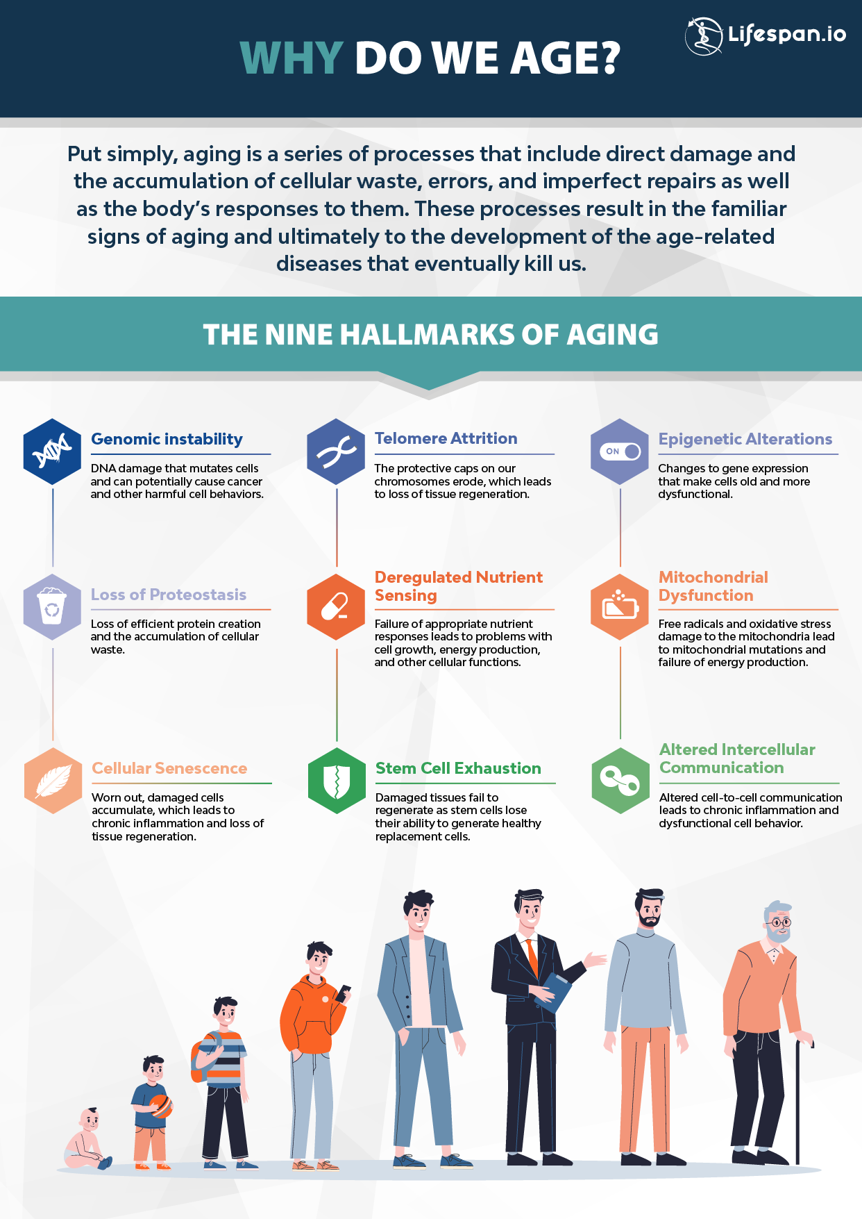 Is Age Just A Number?  Perspectives On Health, Relationships, And Success Across The Lifespan