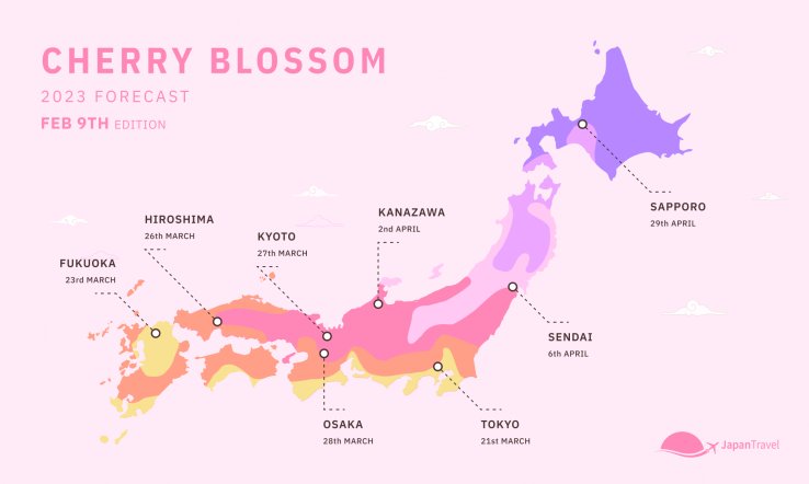 Japan's Cherry Blossom Forecast: Your Springwatch Companion Japan's Cherry Blossom Forecast: Your Springwatch Companion