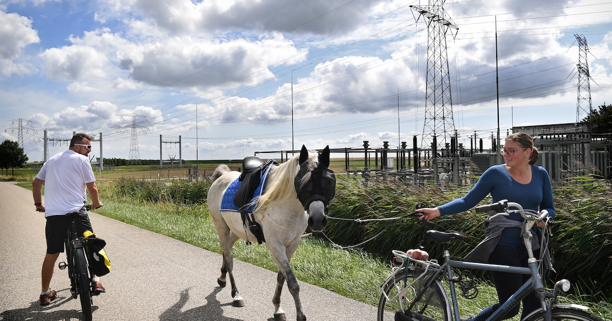 Juridische Strijd: Kampen Eist Aansluiting Op Stroomnet Van Enexis Juridische Strijd: Kampen Eist Aansluiting Op Stroomnet Van Enexis