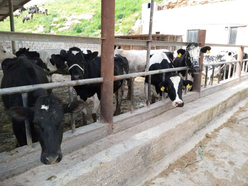 جو 24 ينبه صلاح: توقف عن المغامرات، وضعك دقيق جو 24 ينبه صلاح: توقف عن المغامرات، وضعك دقيق