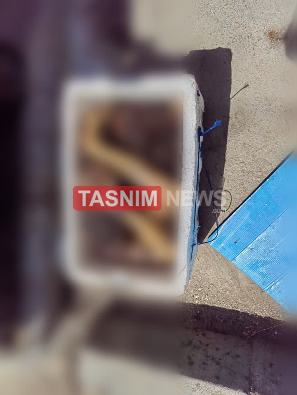 جواں سال خواتین سمیت تین افراد جعلی دستاویزات اور گداگری کے الزام میں گرفتار جواں سال خواتین سمیت تین افراد جعلی دستاویزات اور گداگری کے الزام میں گرفتار