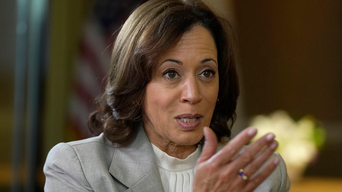 Kamala Harris' Next Move: A Look At Her Planned Political Re-entry Kamala Harris' Next Move: A Look At Her Planned Political Re-entry