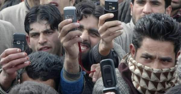 Kashmir Cat Owners Alarmed By Viral Social Media Posts