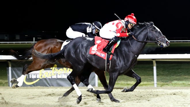 Kentucky Derby 2025: Analyzing Chunk Of Gold's Chances Kentucky Derby 2025: Analyzing Chunk Of Gold's Chances