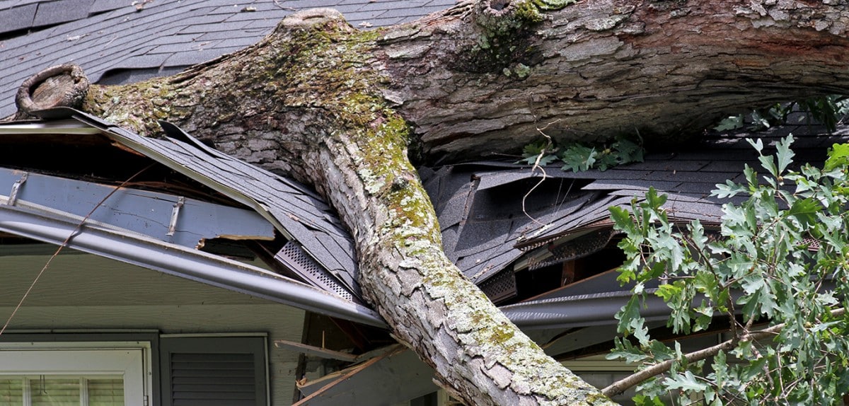 Kentucky Storm Damage: Why The Assessment Delays? Kentucky Storm Damage: Why The Assessment Delays?