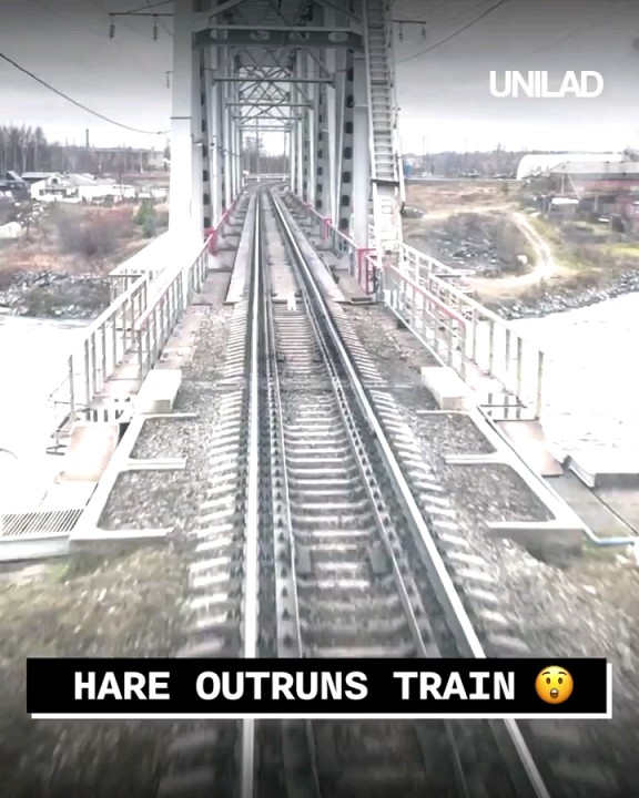Kogi Train Passengers Face Delays Following Mechanical Issues Kogi Train Passengers Face Delays Following Mechanical Issues