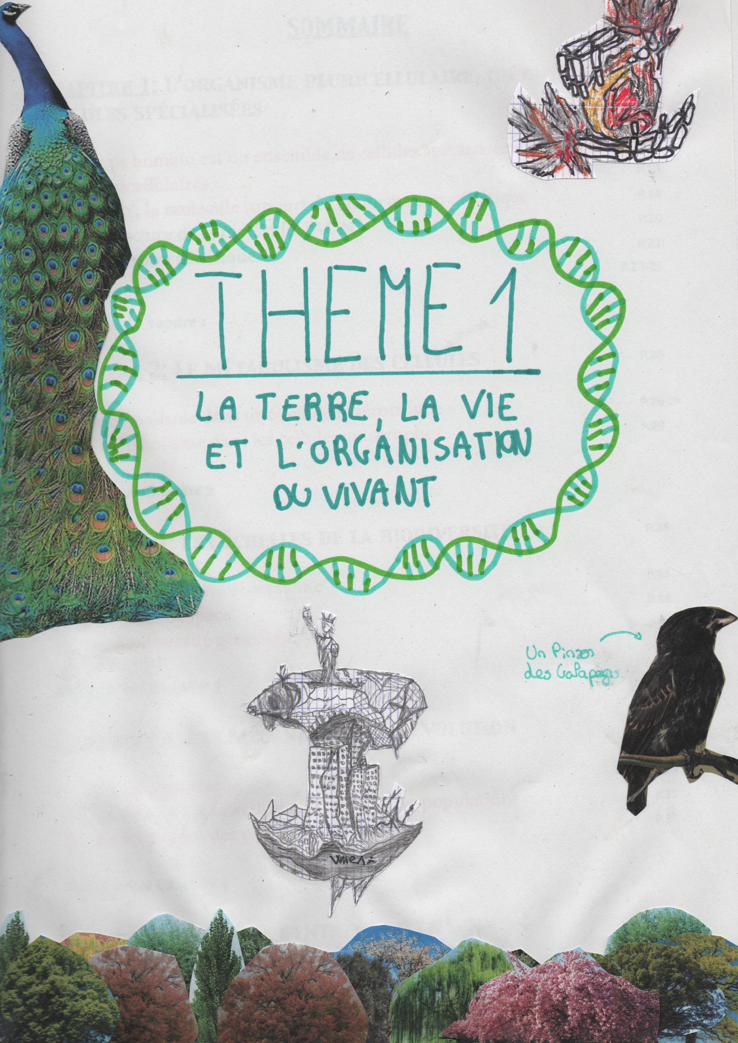 La Vie Et L'Œuvre D'Arnarulunguaq La Vie Et L'Œuvre D'Arnarulunguaq