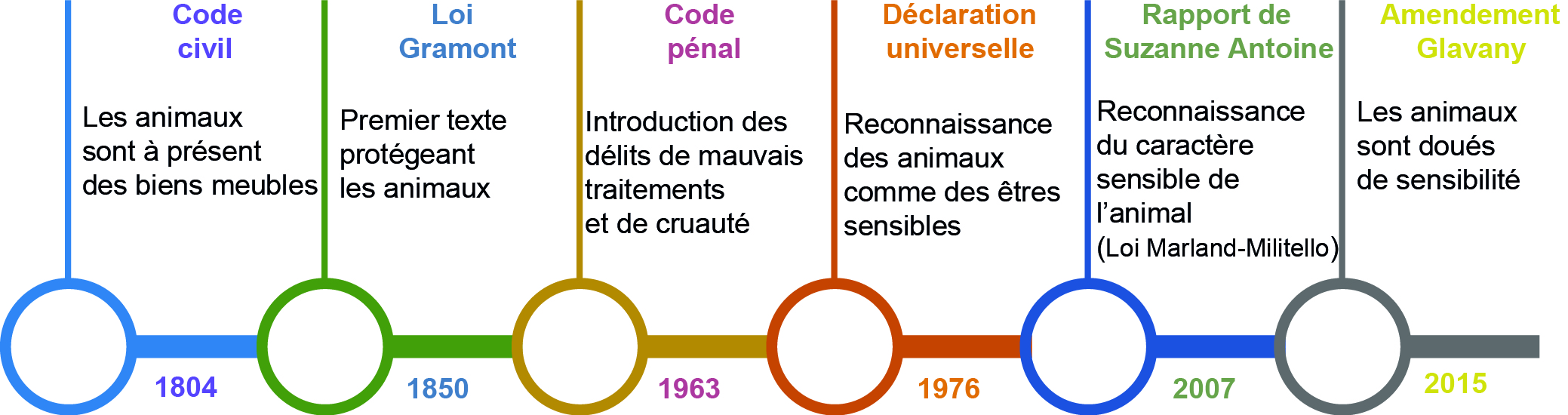 Le Pen, Les Lois, Et L'interprétation De Jacobelli : Décryptage Le Pen, Les Lois, Et L'interprétation De Jacobelli : Décryptage