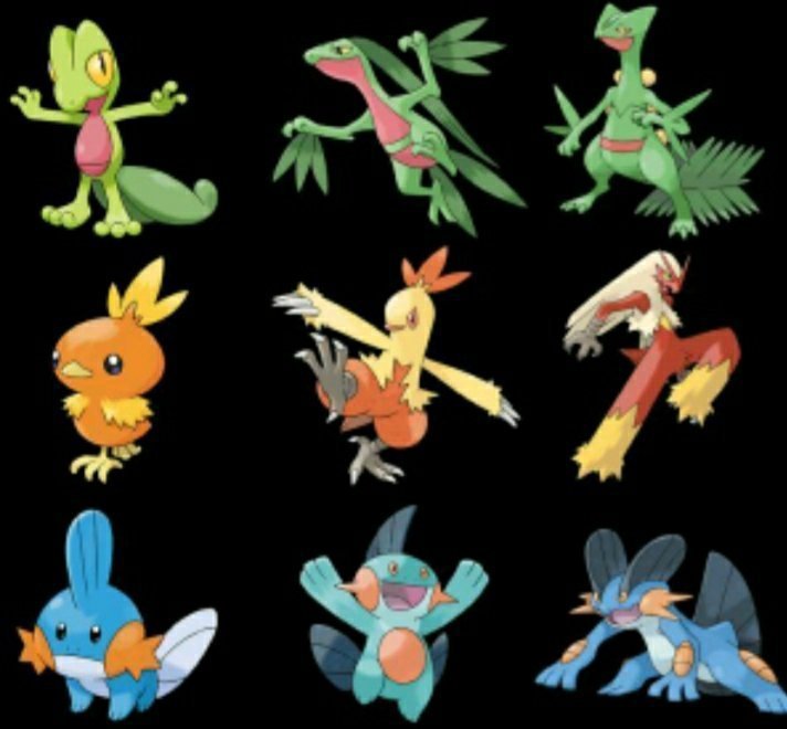 LEGO Pokemon: Fan Builds Gen 3 Starter Pokemon LEGO Pokemon: Fan Builds Gen 3 Starter Pokemon