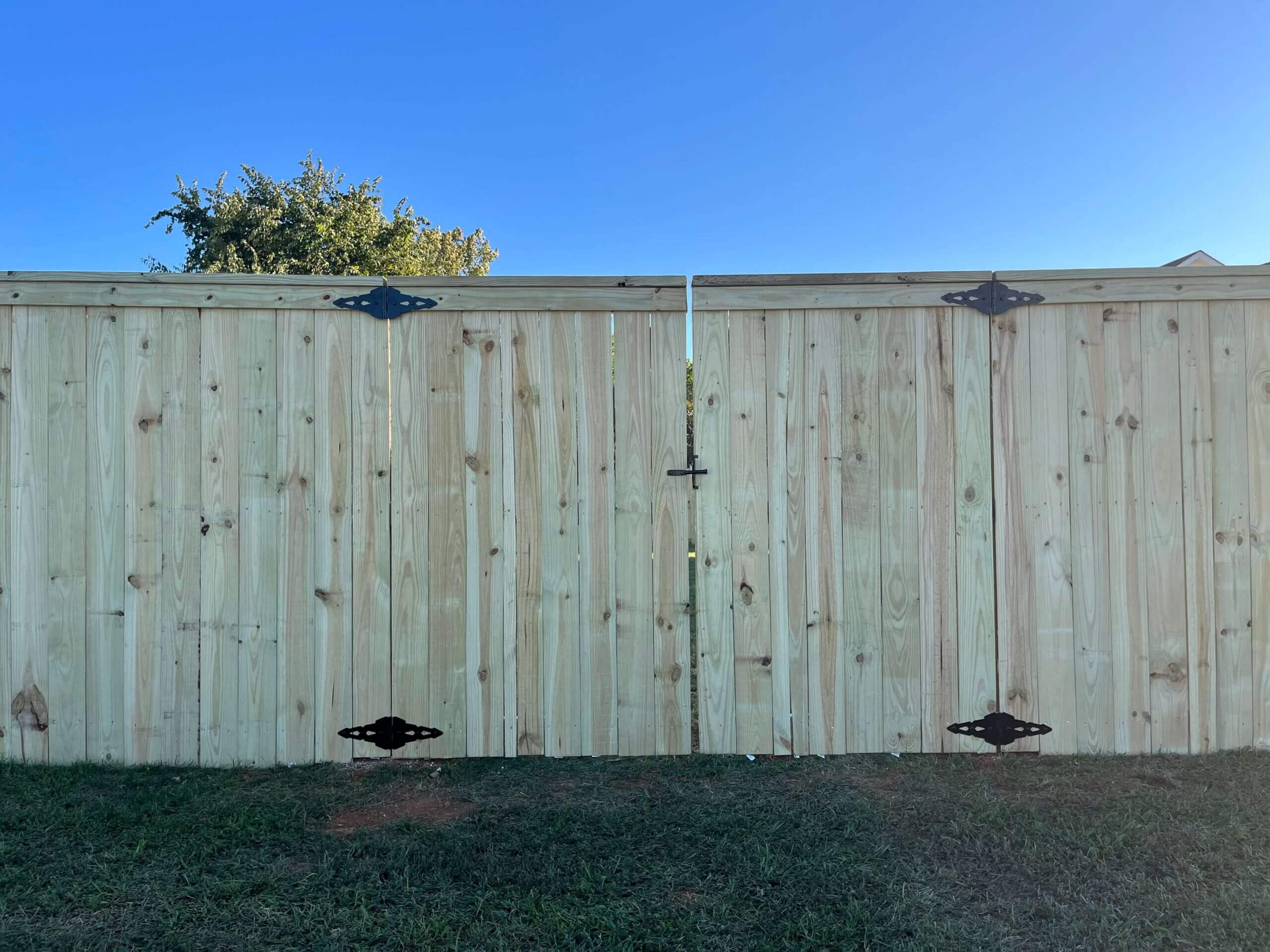 Living Fence Installation: From Start To Finish Living Fence Installation: From Start To Finish