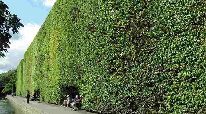 Living Fences: Planning, Planting, And Care Living Fences: Planning, Planting, And Care