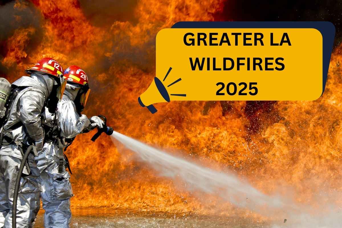 Los Angeles Wildfires: A Reflection Of Our Changing Relationship With Risk And Gambling Los Angeles Wildfires: A Reflection Of Our Changing Relationship With Risk And Gambling