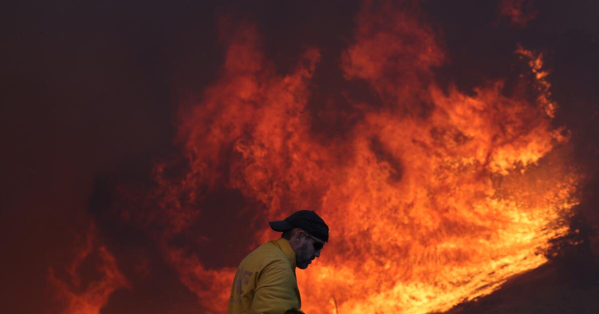 Los Angeles Wildfires: A Societal Commentary Through The Lens Of Betting Los Angeles Wildfires: A Societal Commentary Through The Lens Of Betting