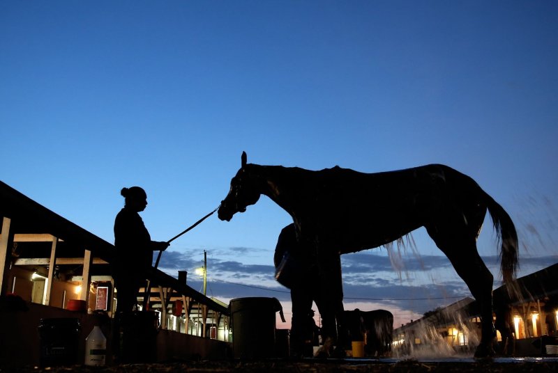 Louisiana Derby 2025: Analyzing The Odds And Key Contenders For The Kentucky Derby Louisiana Derby 2025: Analyzing The Odds And Key Contenders For The Kentucky Derby