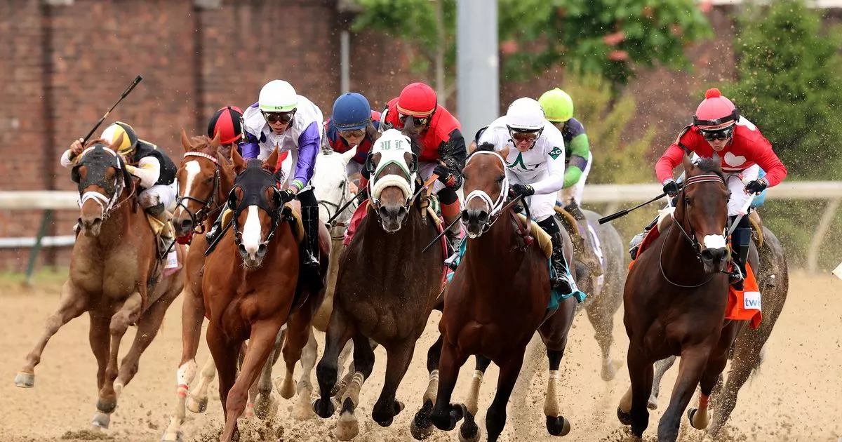 Louisiana Derby 2025: Odds, Field, And Kentucky Derby Picks Louisiana Derby 2025: Odds, Field, And Kentucky Derby Picks