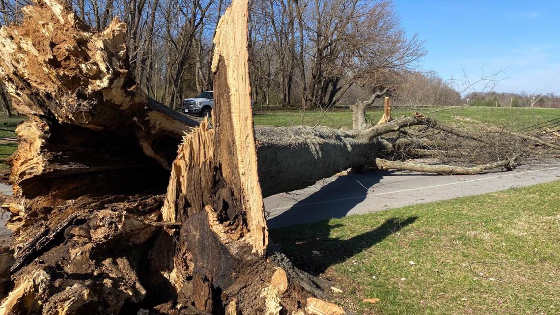 Louisville Announces Storm Debris Removal And Pickup Procedures Louisville Announces Storm Debris Removal And Pickup Procedures
