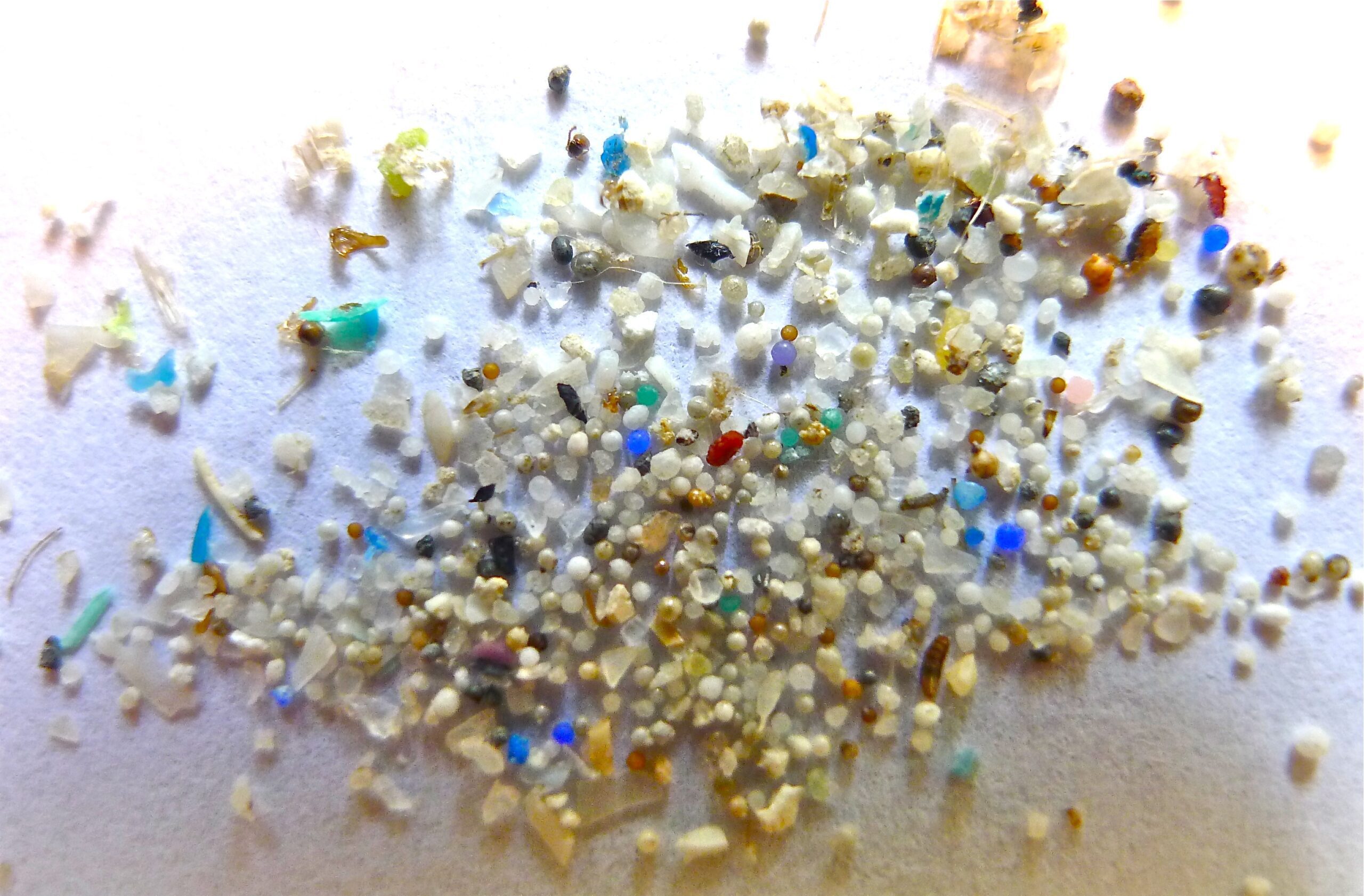 Mappa Della Contaminazione Da Microplastiche Nelle Acque Mappa Della Contaminazione Da Microplastiche Nelle Acque