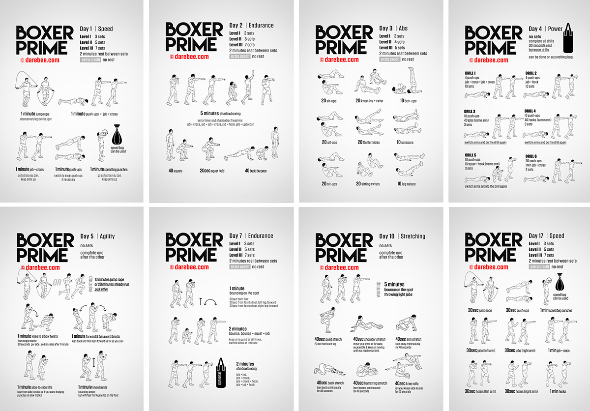 March 26th: ACE Power Promotion's Boxing Seminar March 26th: ACE Power Promotion's Boxing Seminar
