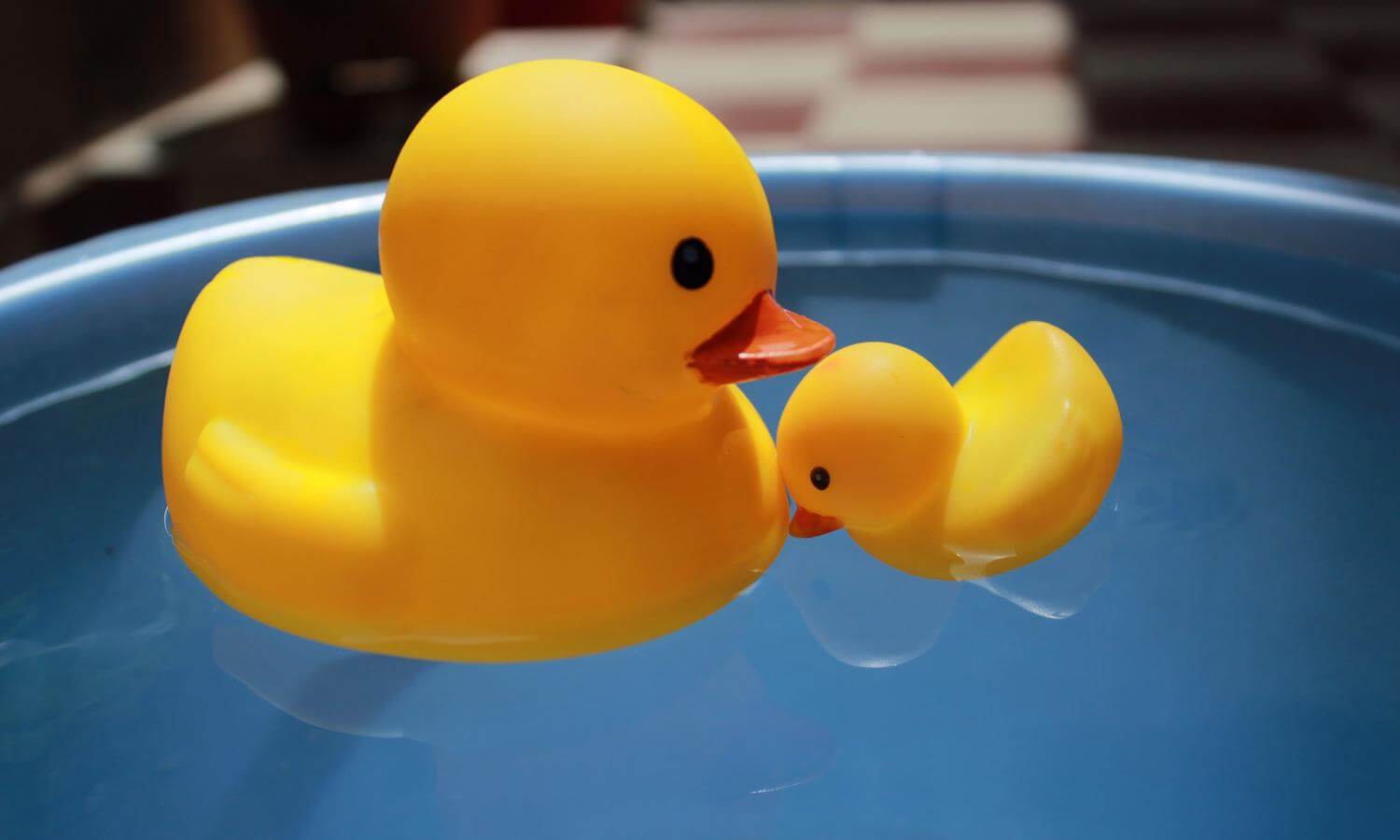 Massive Rubber Duck To Boost Water Safety Awareness In Myrtle Beach Massive Rubber Duck To Boost Water Safety Awareness In Myrtle Beach