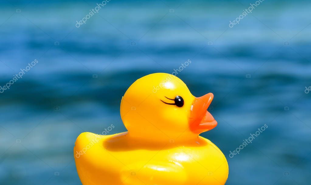Massive Rubber Duck To Raise Water Safety Awareness In Myrtle Beach Massive Rubber Duck To Raise Water Safety Awareness In Myrtle Beach