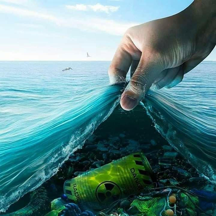 Microplastiche Nell'ambiente Acquatico: Distribuzione E Concentrazione Microplastiche Nell'ambiente Acquatico: Distribuzione E Concentrazione