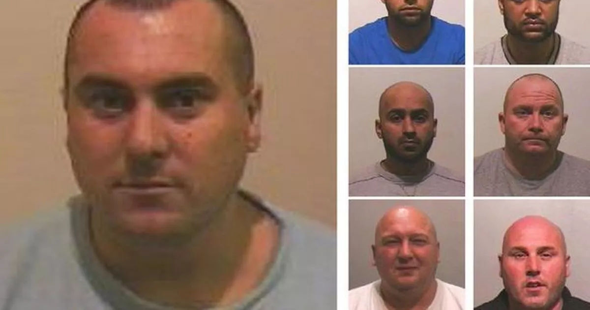Migrant Spends Eight Hours In Tree To Evade ICE Arrest: A Desperate Act Of Survival Migrant Spends Eight Hours In Tree To Evade ICE Arrest: A Desperate Act Of Survival