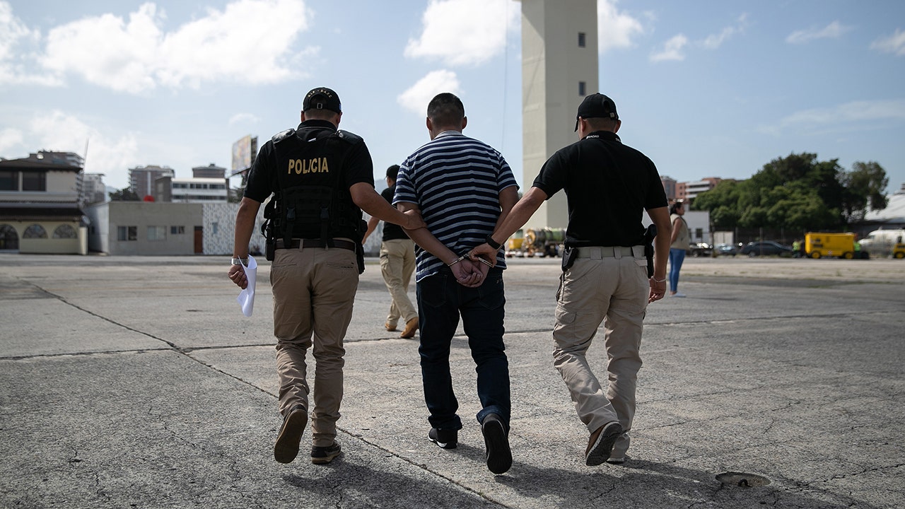 Migrant's Eight-Hour Treetop Hideout: Avoiding ICE Deportation Migrant's Eight-Hour Treetop Hideout: Avoiding ICE Deportation