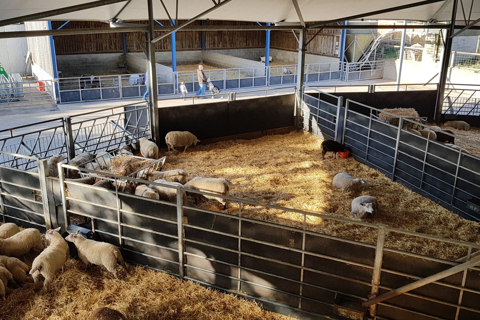 Mitigating Flood Risks To Ensure Livestock Safety Mitigating Flood Risks To Ensure Livestock Safety