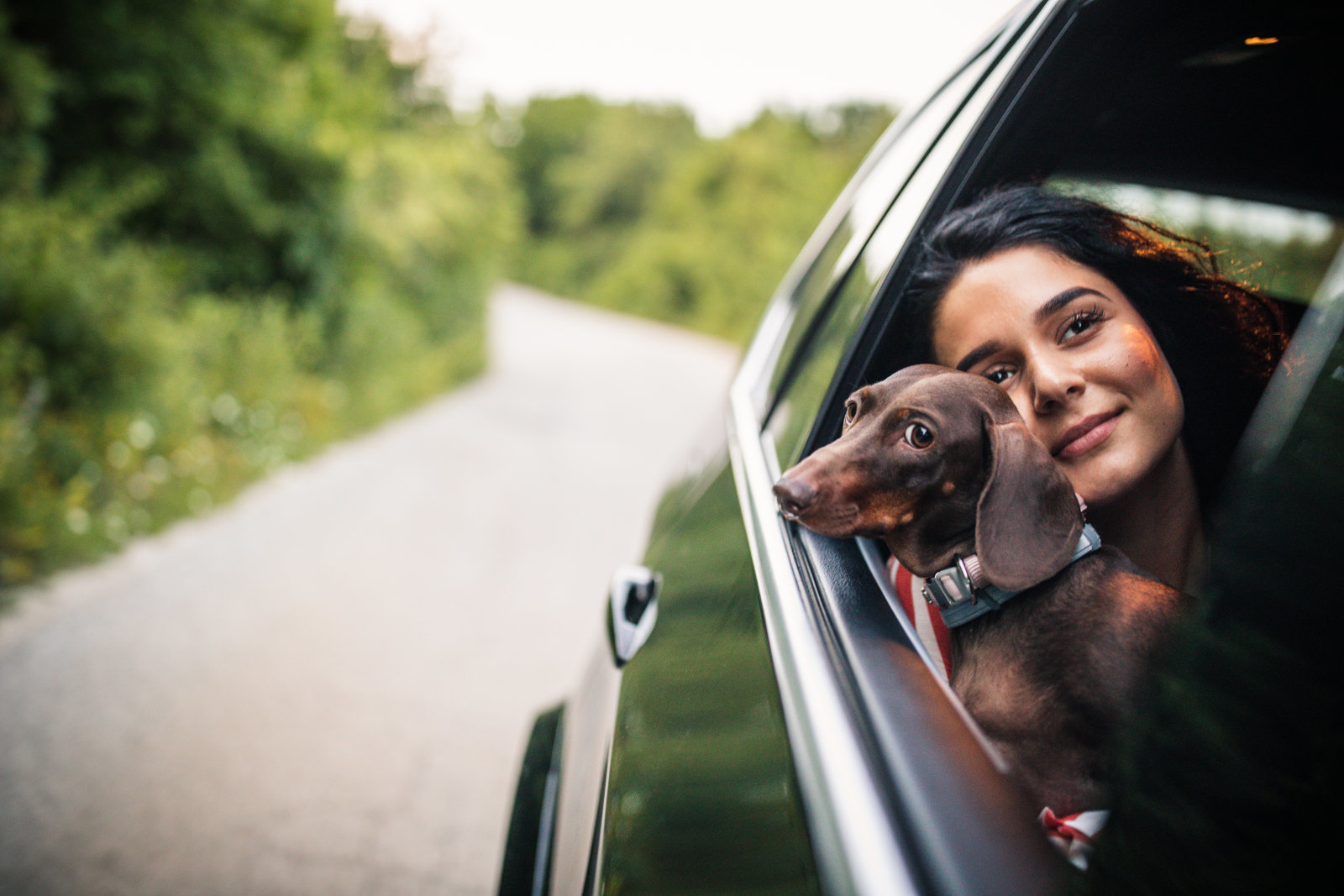 Mumbai's New Pet-Friendly Uber Option: Booking Instructions Mumbai's New Pet-Friendly Uber Option: Booking Instructions