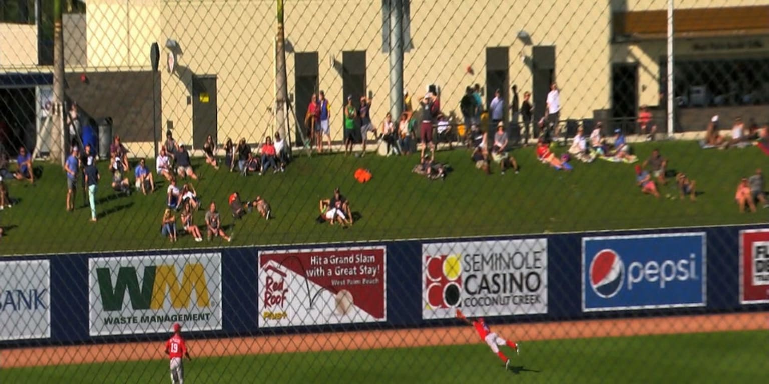 Nationals' Robles Carted Off Following Diving Catch Vs. Giants Nationals' Robles Carted Off Following Diving Catch Vs. Giants