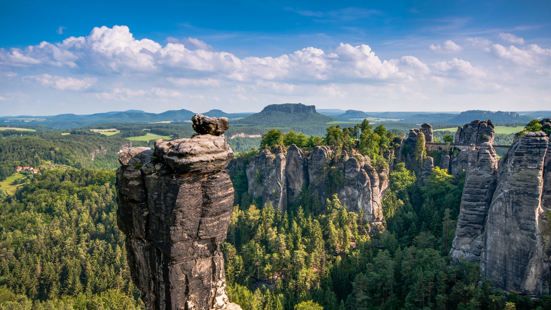 Naturschutzmaßnahmen: 190.000 Bäume Im Nationalpark Sächsische Schweiz Gepflanzt Naturschutzmaßnahmen: 190.000 Bäume Im Nationalpark Sächsische Schweiz Gepflanzt