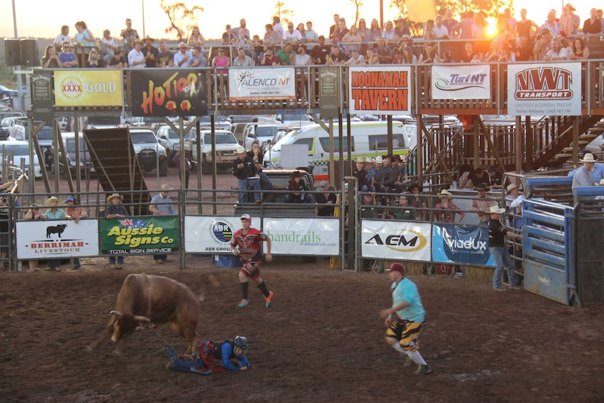 Neal McDonough's Pro Bull Riding Debut In Neal McDonough's Pro Bull Riding Debut In