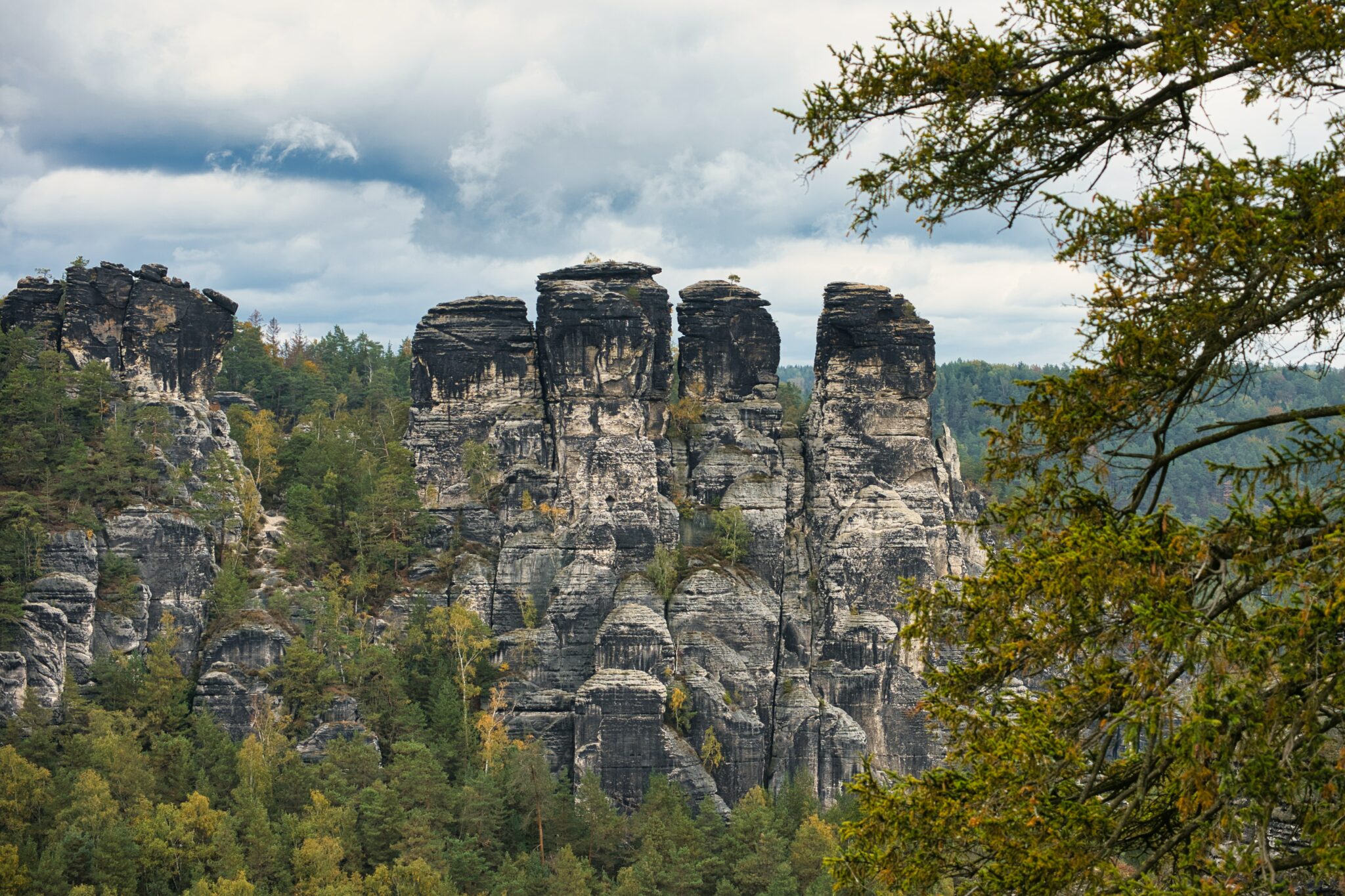 Neue Partnerschaften Im Nationalpark Sächsische Schweiz: Fünf Organisationen An Bord Neue Partnerschaften Im Nationalpark Sächsische Schweiz: Fünf Organisationen An Bord