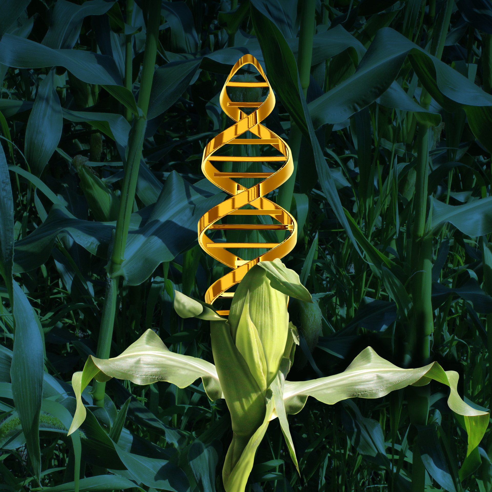 New CRISPR Modification: More Accurate And Effective Gene Editing New CRISPR Modification: More Accurate And Effective Gene Editing