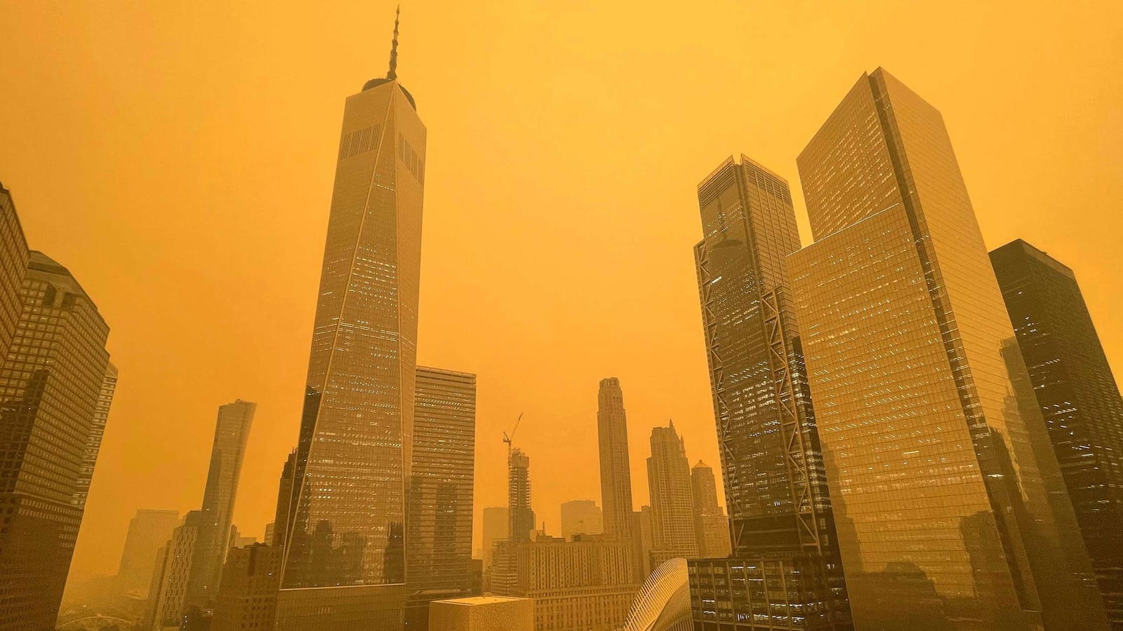 New York City's Wildfire Smoke: 3°C Temperature Drop And Air Pollutant Study New York City's Wildfire Smoke: 3°C Temperature Drop And Air Pollutant Study