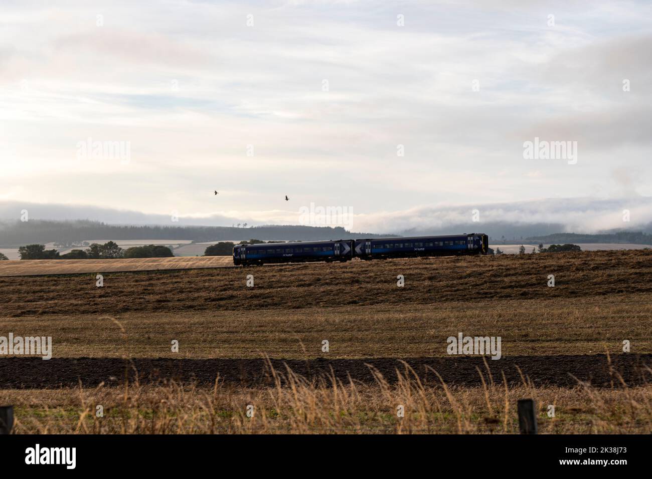 Nieuw Statendam's Invergordon Visit: A Boost For Easter Ross Nieuw Statendam's Invergordon Visit: A Boost For Easter Ross