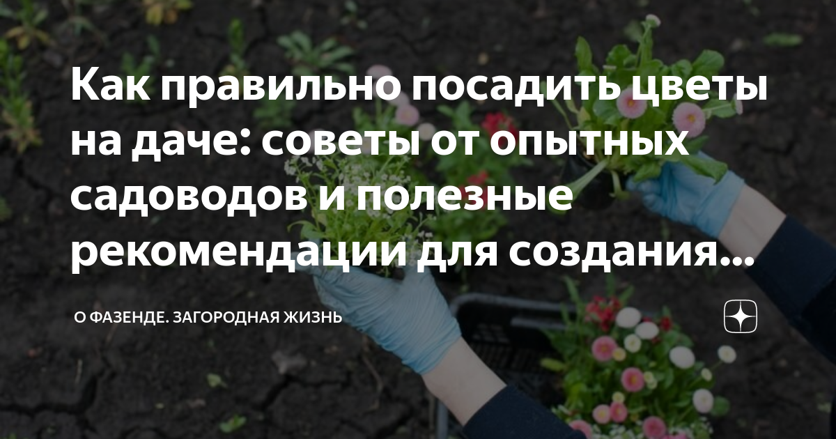 Новая Фотосессия Рианны: Нежность Розового Кружева И Страсть Новая Фотосессия Рианны: Нежность Розового Кружева И Страсть