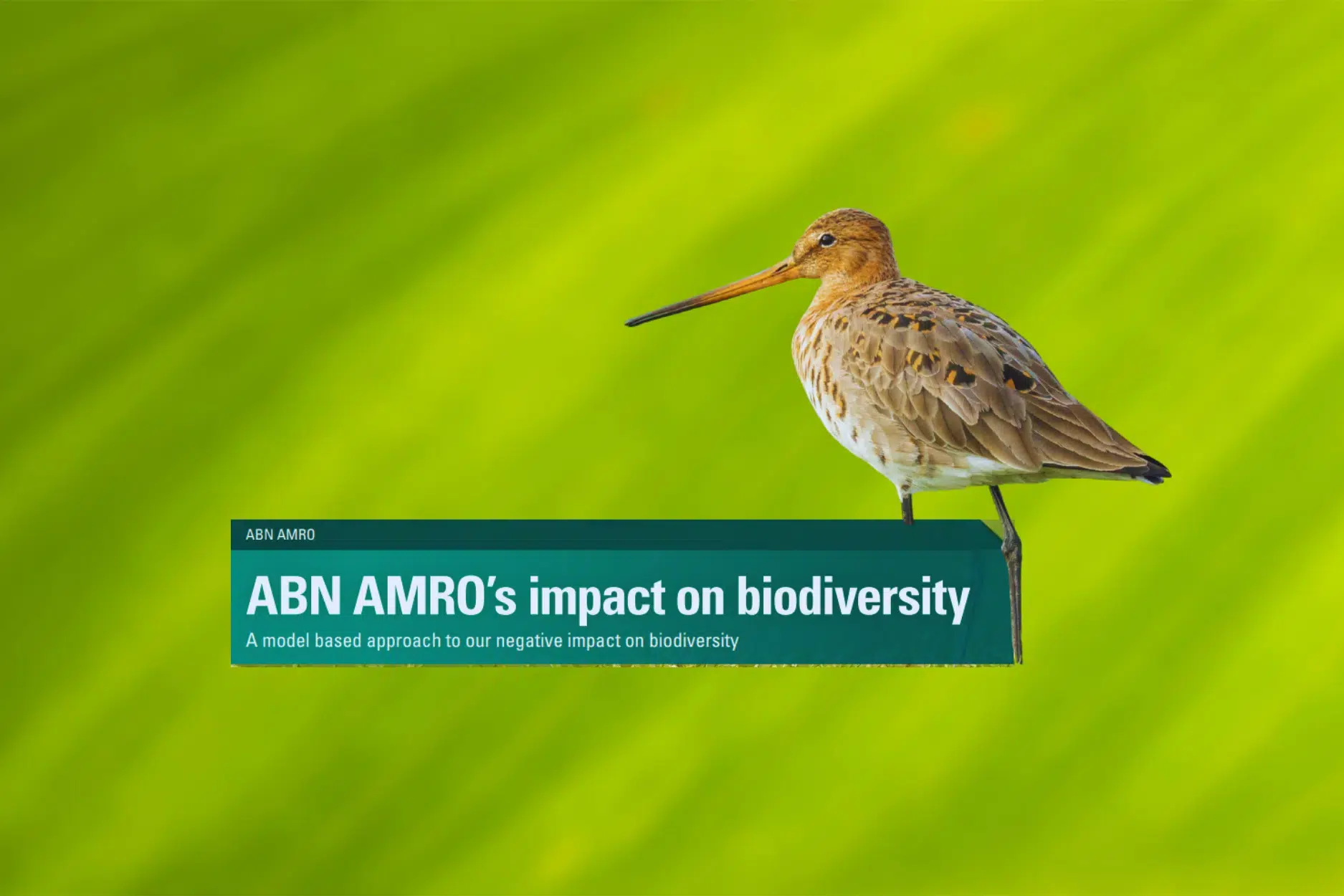 Occasionverkopen ABN AMRO: Impact Van De Toename In Autobezit Occasionverkopen ABN AMRO: Impact Van De Toename In Autobezit