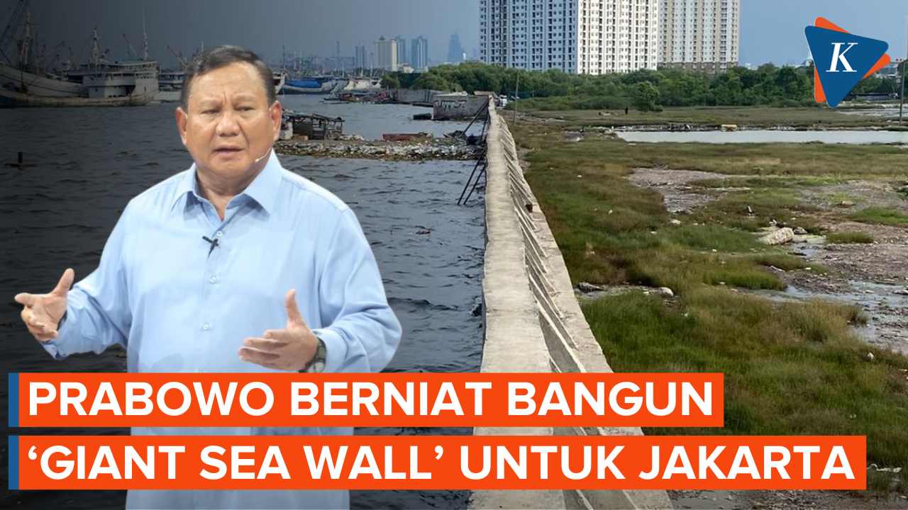 Pesisir Aman: Inisiatif DPR Bangun Tembok Laut Untuk Lindungi Warga Pesisir Aman: Inisiatif DPR Bangun Tembok Laut Untuk Lindungi Warga