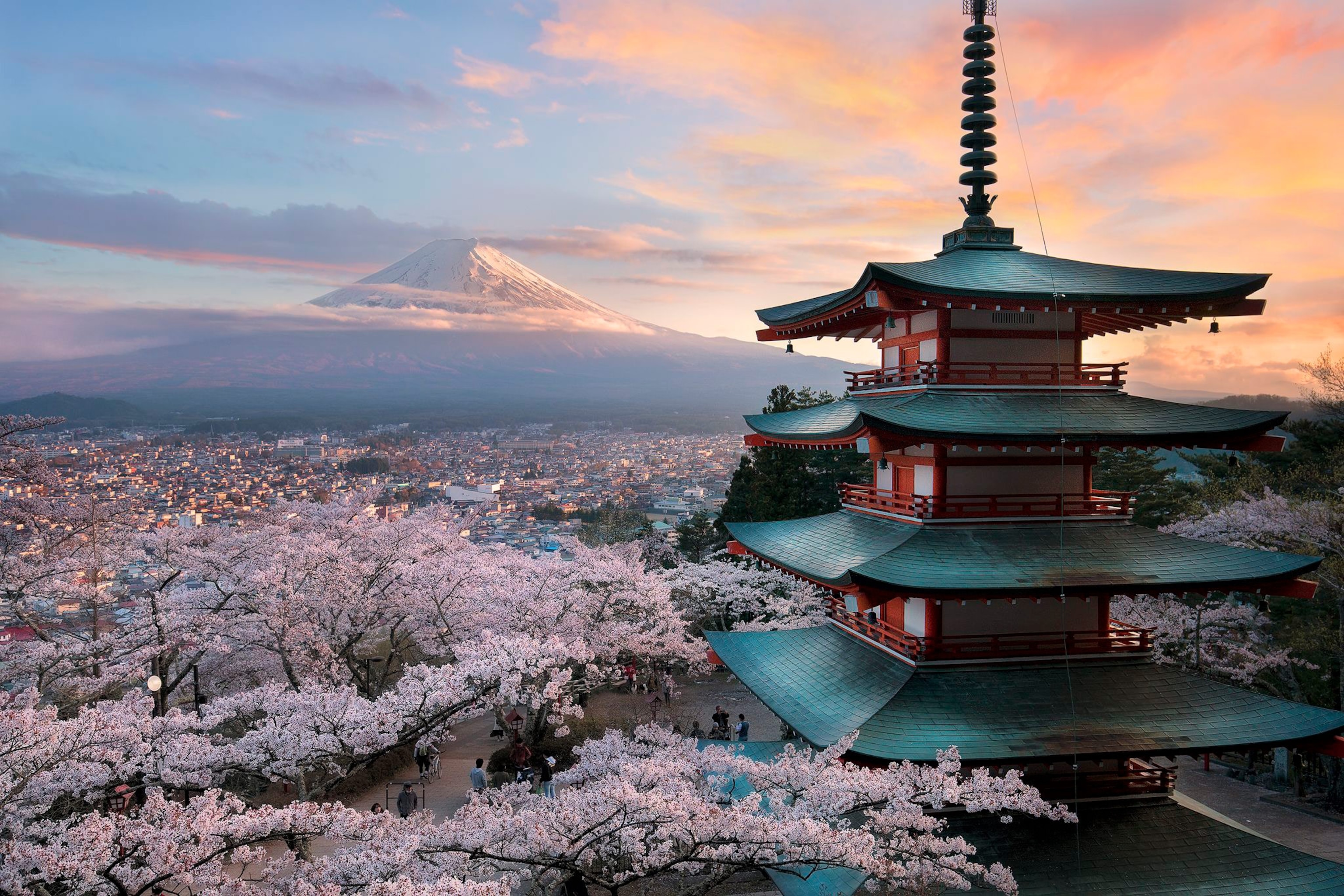 Planning Your Springwatch In Japan: A Cherry Blossom Itinerary Planning Your Springwatch In Japan: A Cherry Blossom Itinerary