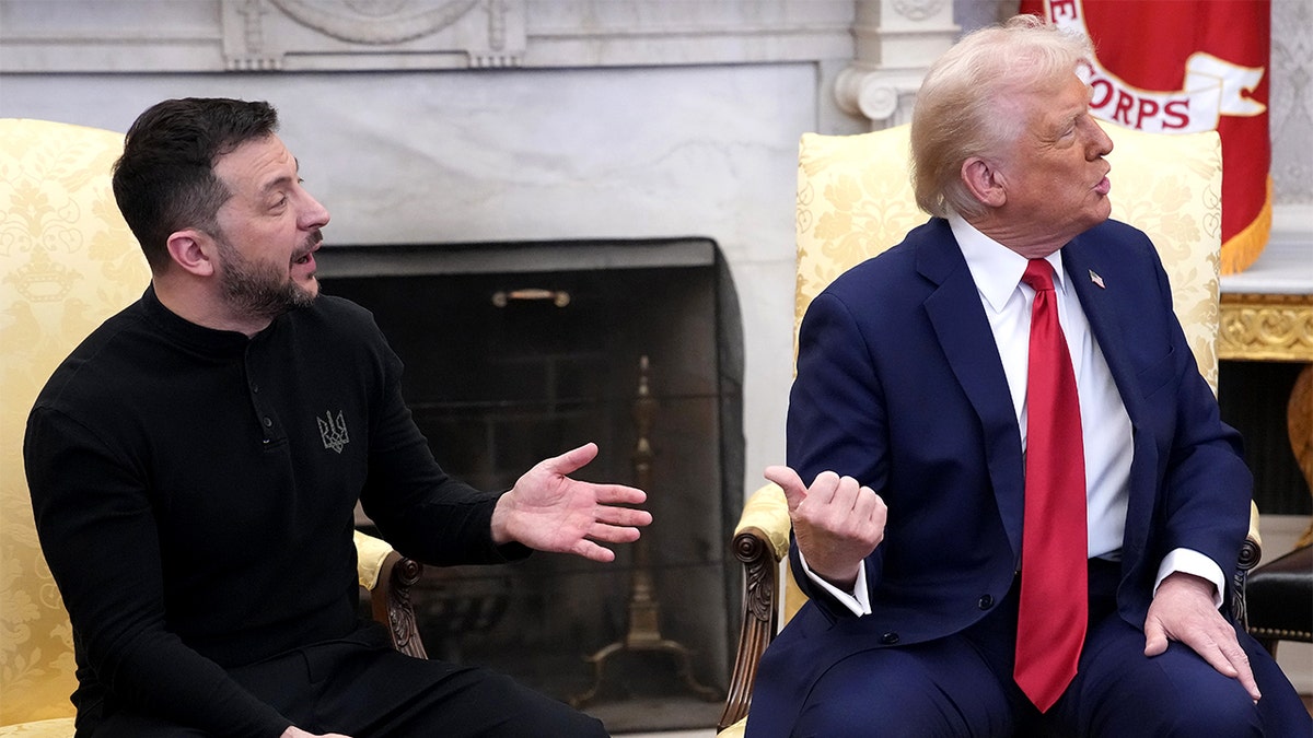 Political Fallout: Farage's Zelenskyy Comments Spark Controversy Political Fallout: Farage's Zelenskyy Comments Spark Controversy