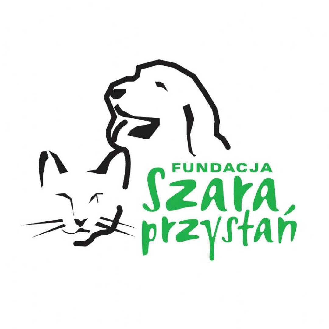 Pomóż Zwierzętom Bezdomnym - 4 Kwietnia, Międzynarodowy Dzień Akcji