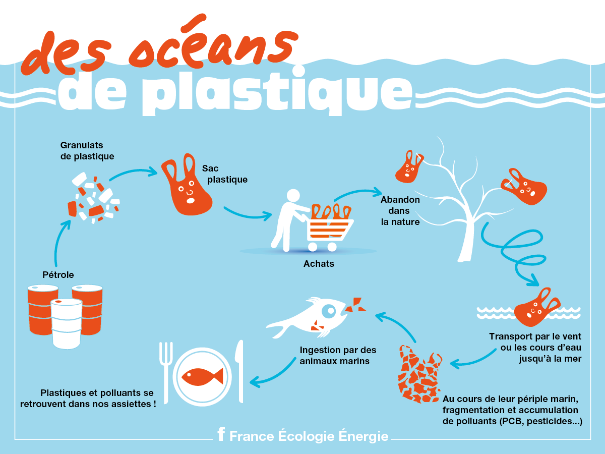 Port-Saint-Louis-du-Rhône : Le Festival De La Camargue Célèbre Les Mers Et Les Océans Port-Saint-Louis-du-Rhône : Le Festival De La Camargue Célèbre Les Mers Et Les Océans