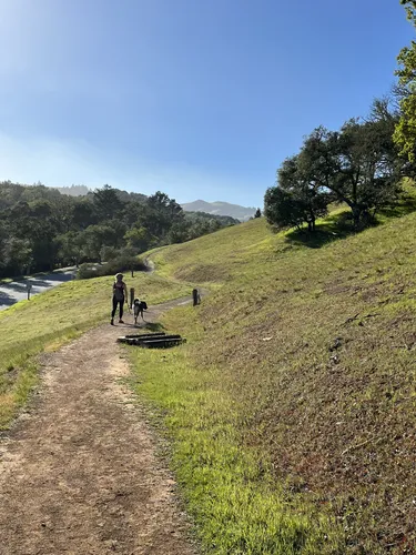 Portola Valley Preserve Search: 79-Year-Old Woman Still Missing Portola Valley Preserve Search: 79-Year-Old Woman Still Missing