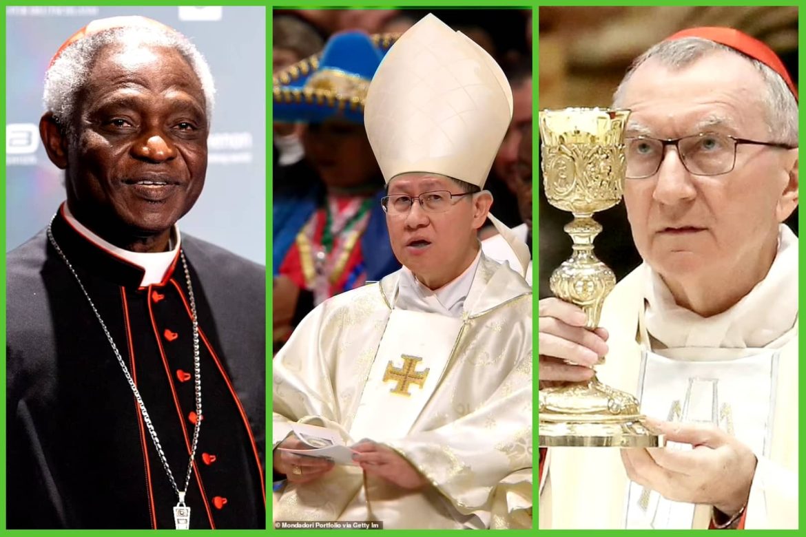 Possible Successors To Pope Francis: A Look At Potential Papal Candidates Possible Successors To Pope Francis: A Look At Potential Papal Candidates